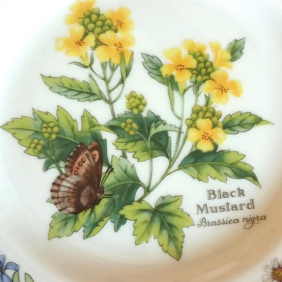 Royal Worcester, Worcester Herbs (Green Trim) | Replacements  Bread & Butter Plates Set of 8 Worcester Herbs (Green Trim) by Royal Worcester
